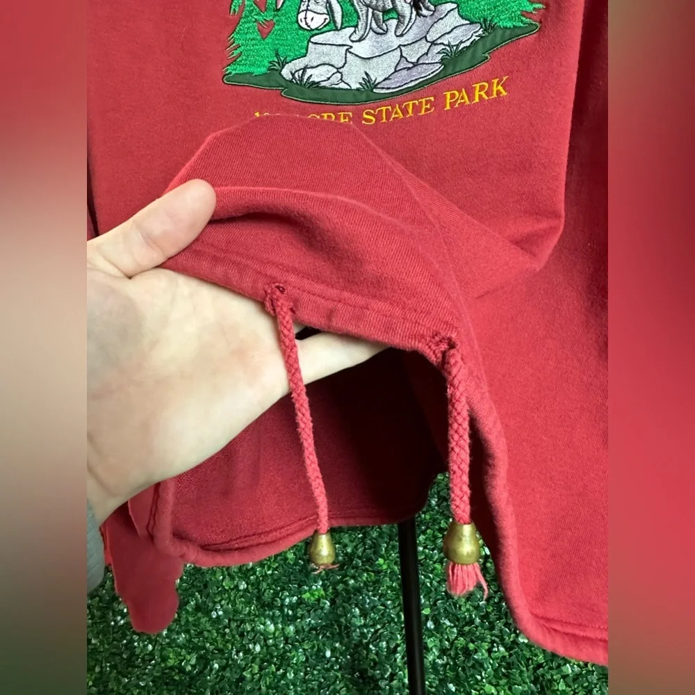 Vintage Pooh's 100 Acre State Park Embroidered Hoodie - Picture 6 of 10